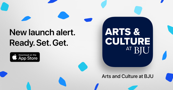 Arts and Culture app